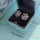 AAA Fake Tiffany Diamond Snowflake Earrings Price - 925 Silver (7)_th.jpg